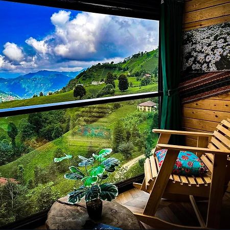 Golden Paws Guesthouse Catalca Экстерьер фото